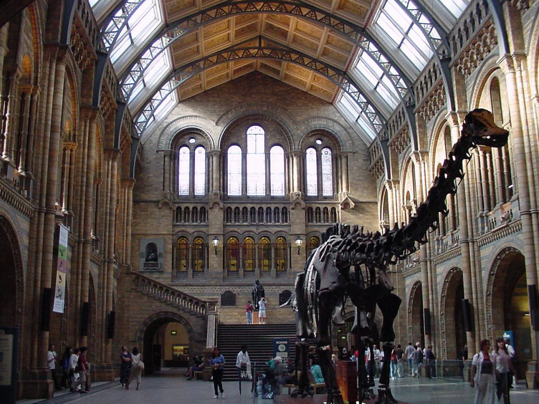 Natural-History-Museum-Attractions-in-London